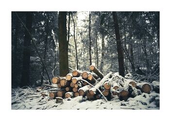Wood - Free image #477985